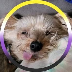 Meet your Posher, Jen